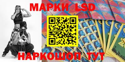 крисы Шебекино