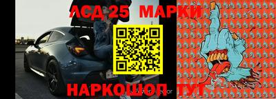 крисы Шебекино