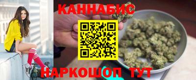 крисы Шебекино