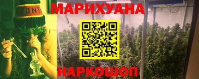 крисы Шебекино