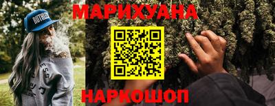 крисы Шебекино
