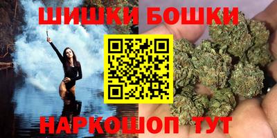 крисы Шебекино